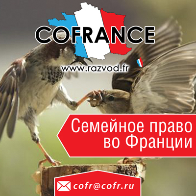 семейное право, Франция